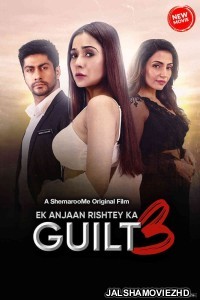 Ek Anjaan Rishtey Ka Guilt 3 (2024) Hindi Movie