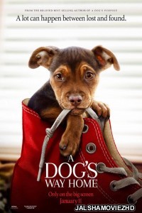 A Dogs Way Home (2019) Hindi Dubbed