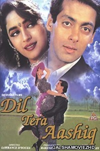 Dil Tera Aashiq (1993) Hindi Movie