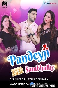 Pandeyji Zara Sambhalke (2021) Hindi Web Series MX Original