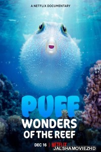 Puff Wonders of the Reef (2021) Hindi Dubbed